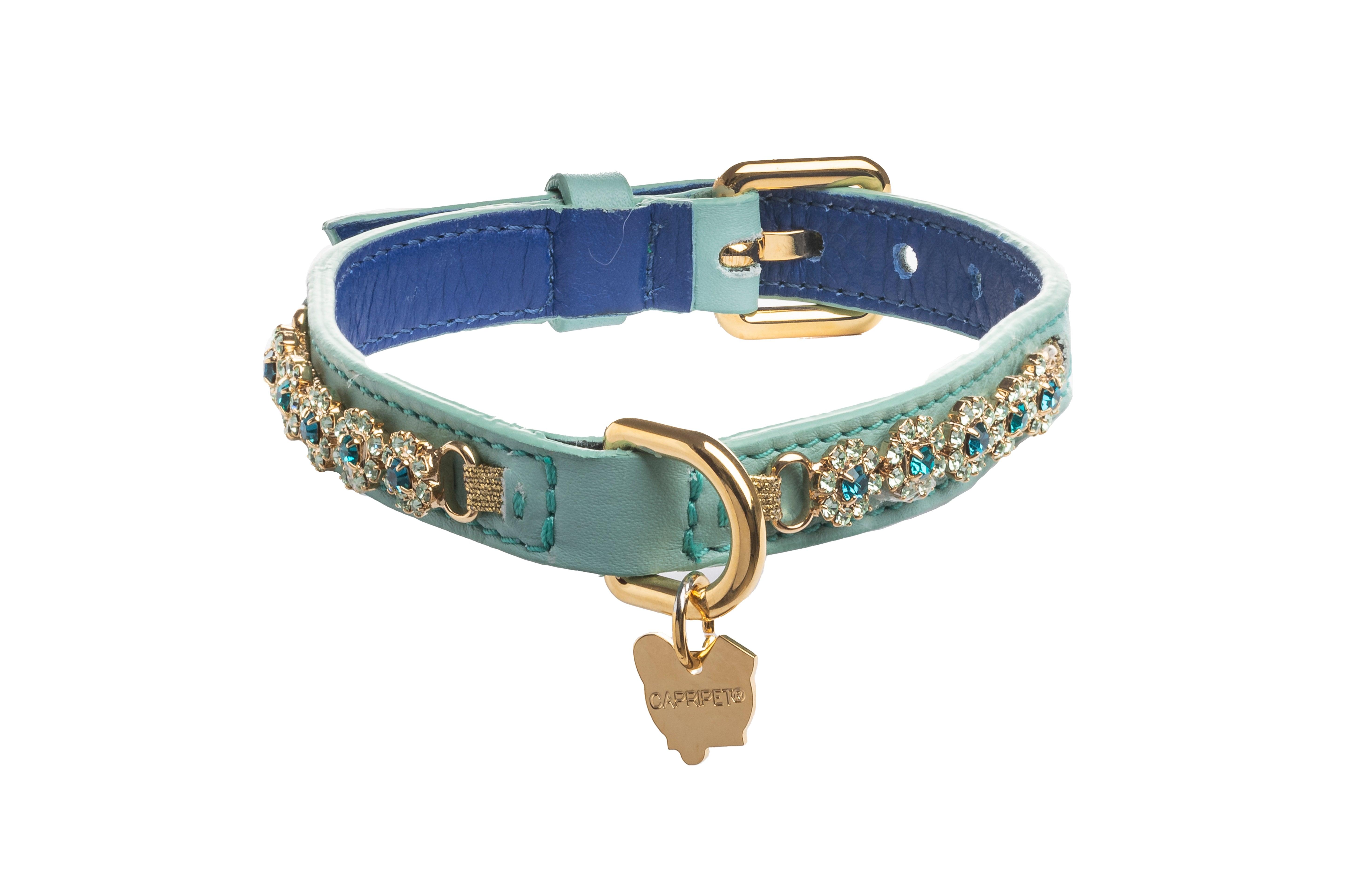 Seafoam green hotsell dog collar